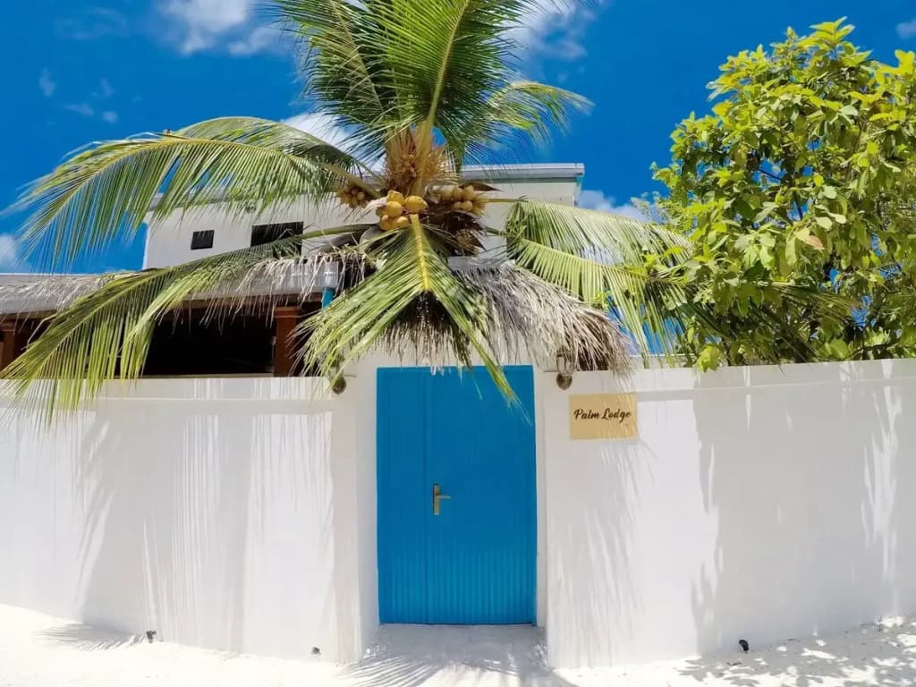 Palm Lodge Guest House - photo 10