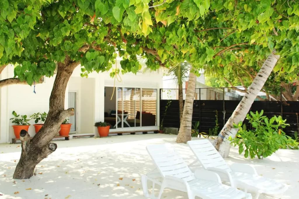 Seginy Seaview Hotel - photo 25