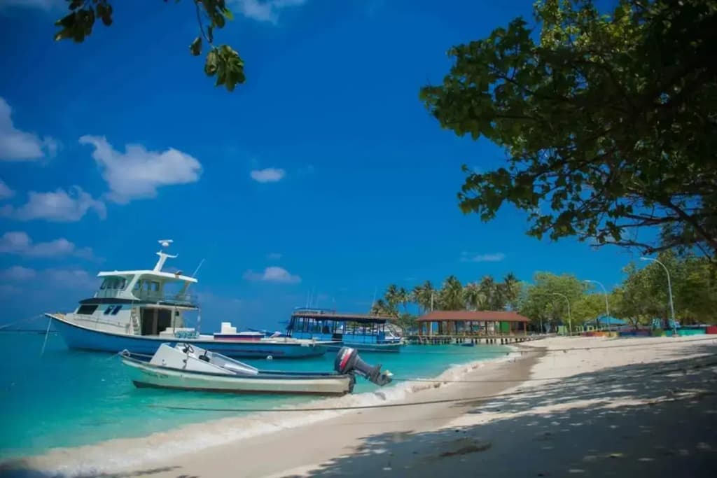 Santa Rosa Maldives Hotel - photo 50