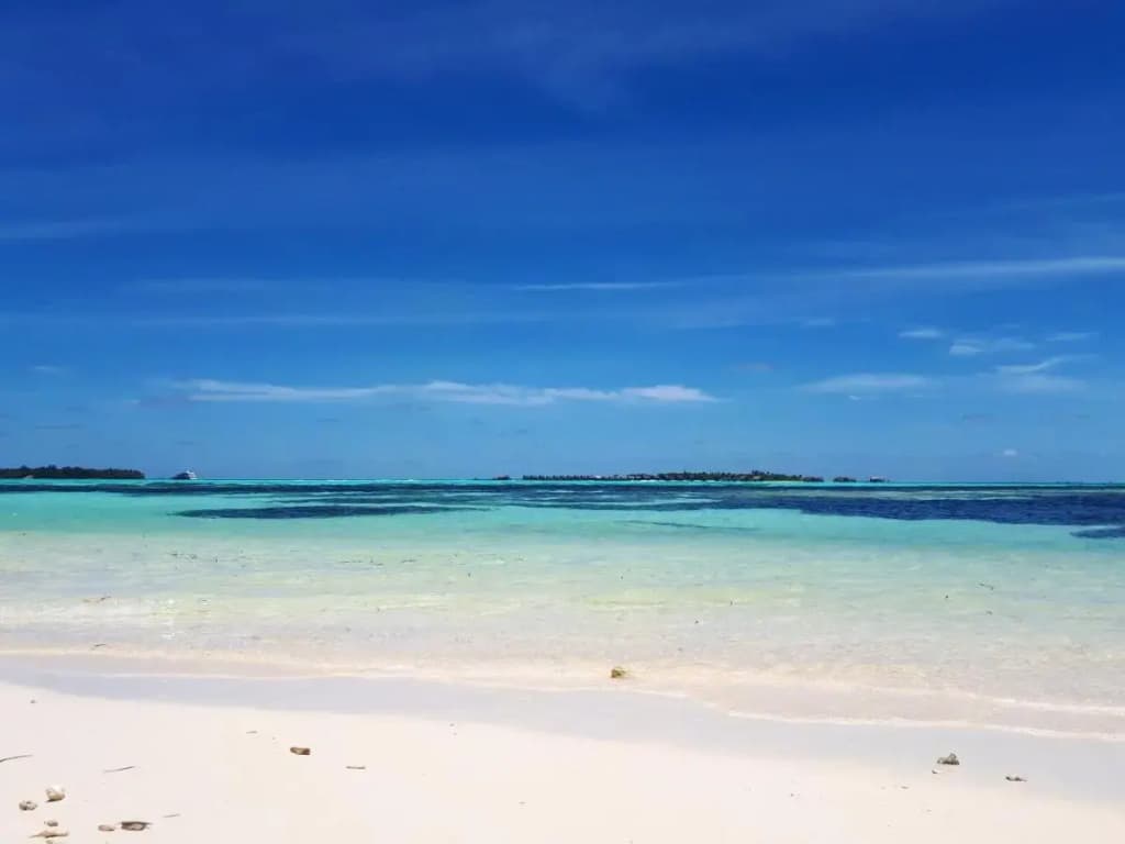 Seginy Seaview Hotel - photo 23