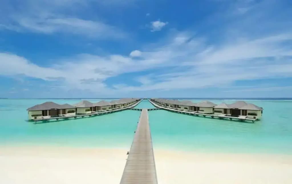 The Haven at Paradise Island - photo 6