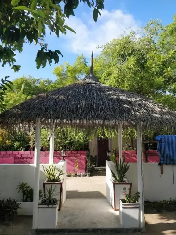 Alkina Lodge Hotel - photo 1