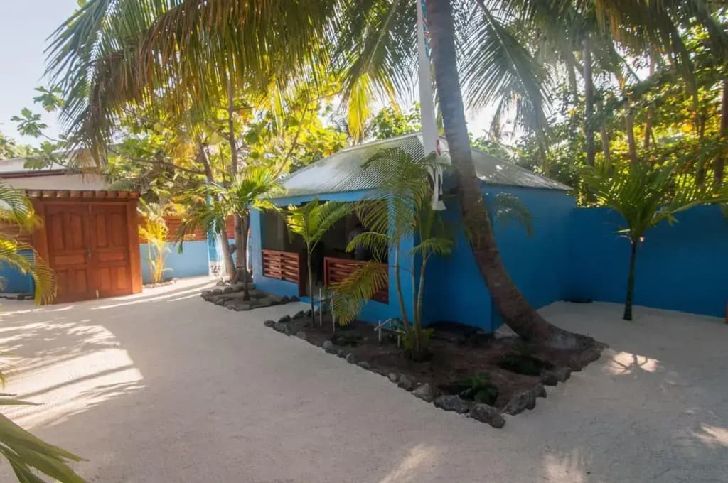 South Ari Dive Center - photo 24