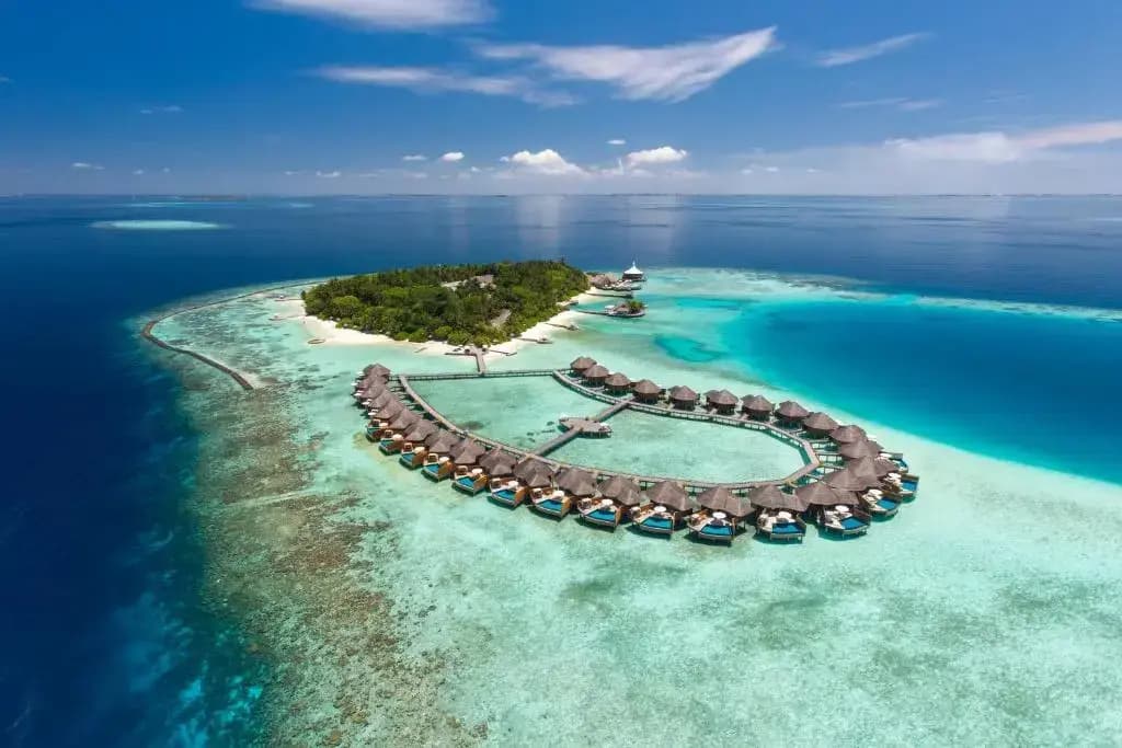 Baros Maldives - photo 25