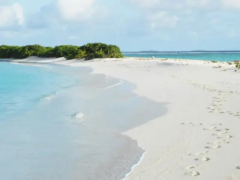 Holiday Haven Ukulhas Hotel - photo 17