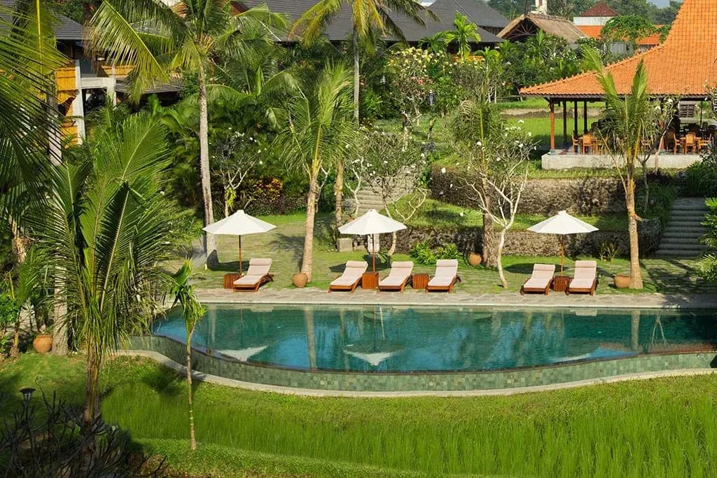 Alaya Resort Ubud Hotel - photo 23