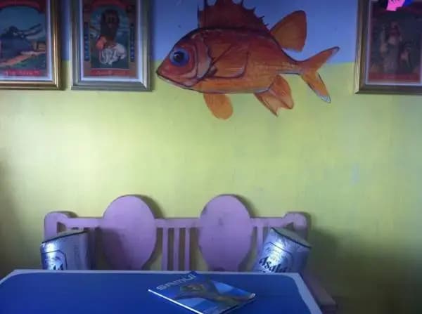 Samui Ley - photo 9