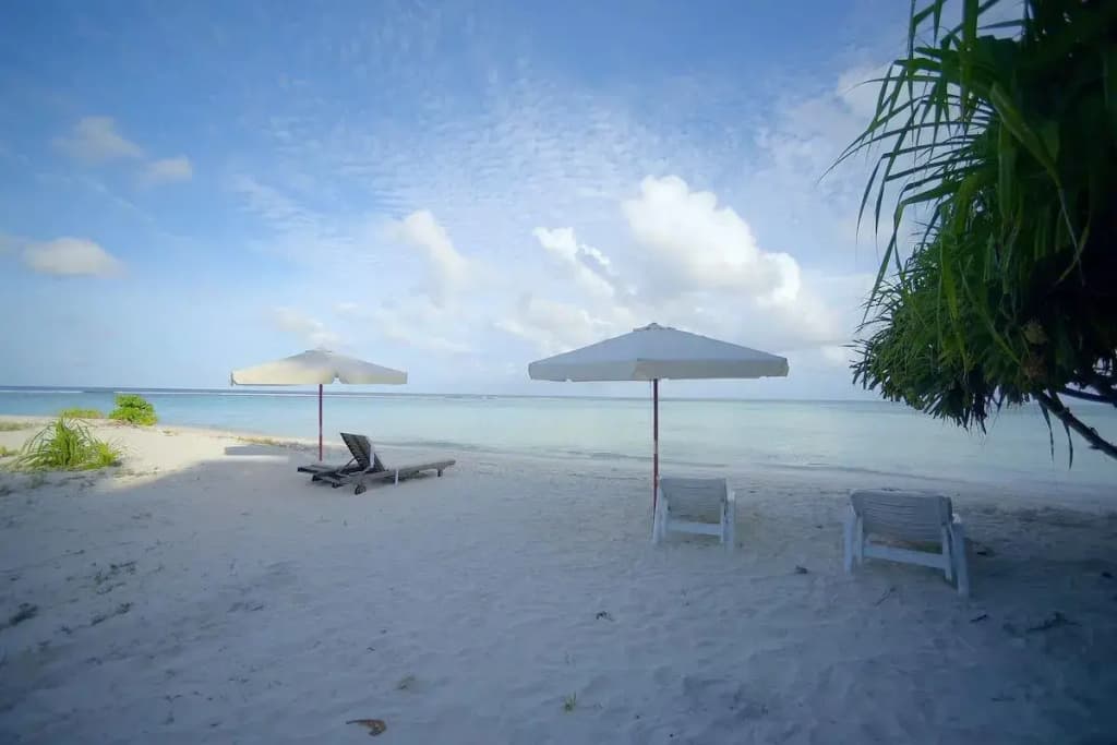 Mala Boutique Dhangethi - photo 12