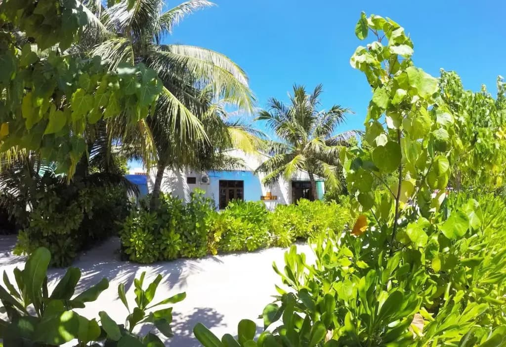 Ithaa Beach Maldives  - photo 17