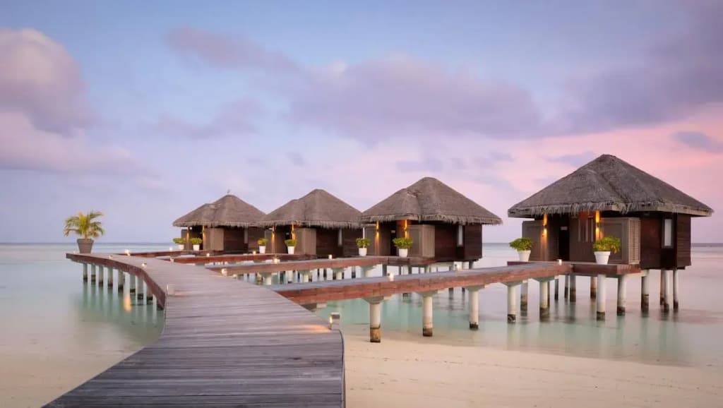 Lux South Ari Atoll Resort - photo 24