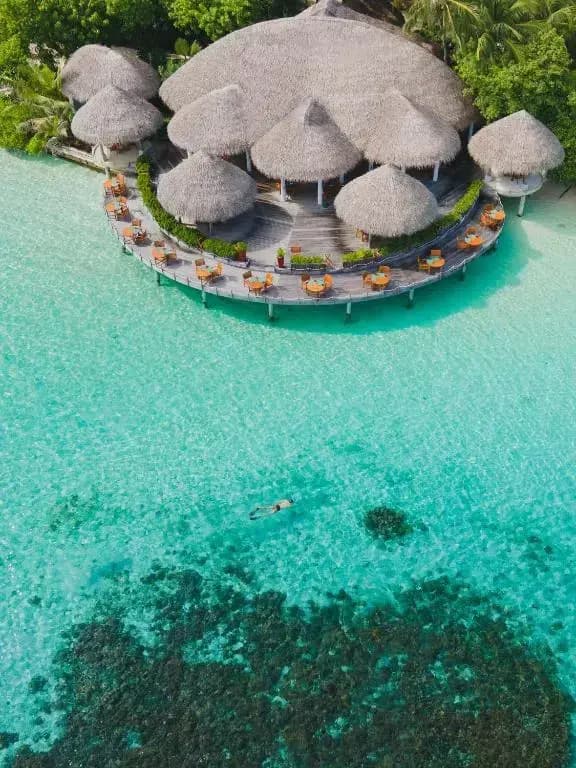 Baros Maldives - photo 23