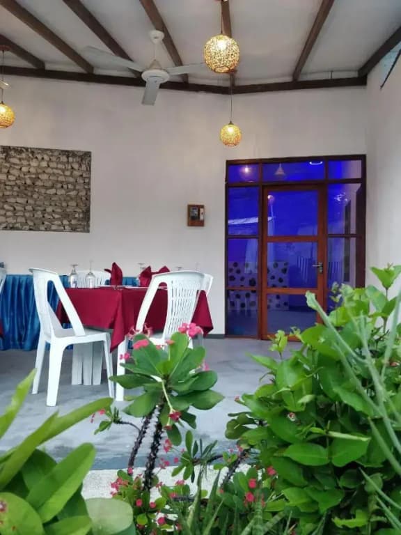 Alkina Lodge Hotel - photo 20