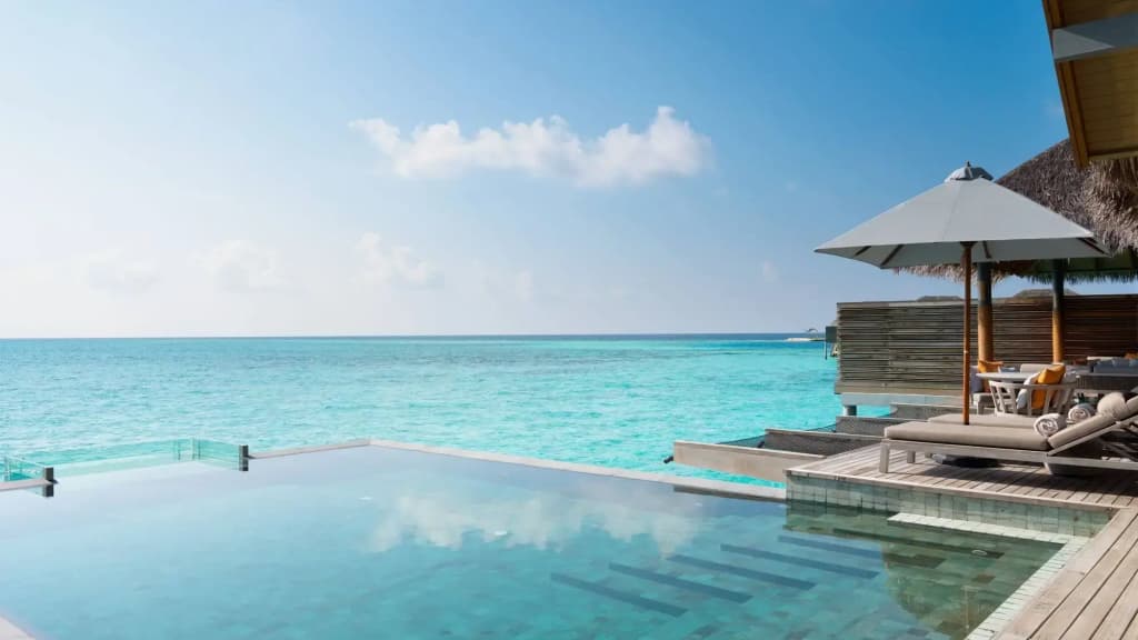 Plus View Maldives - photo 8