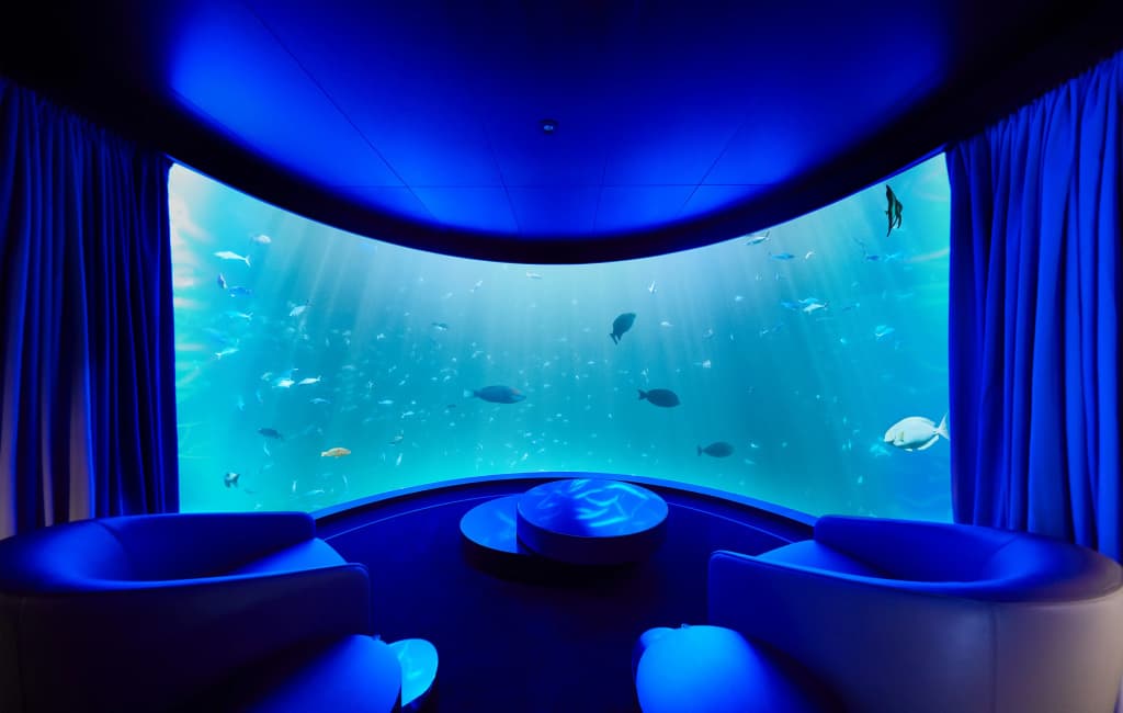 Conrad Maldives Rangali Island Resort - photo 26