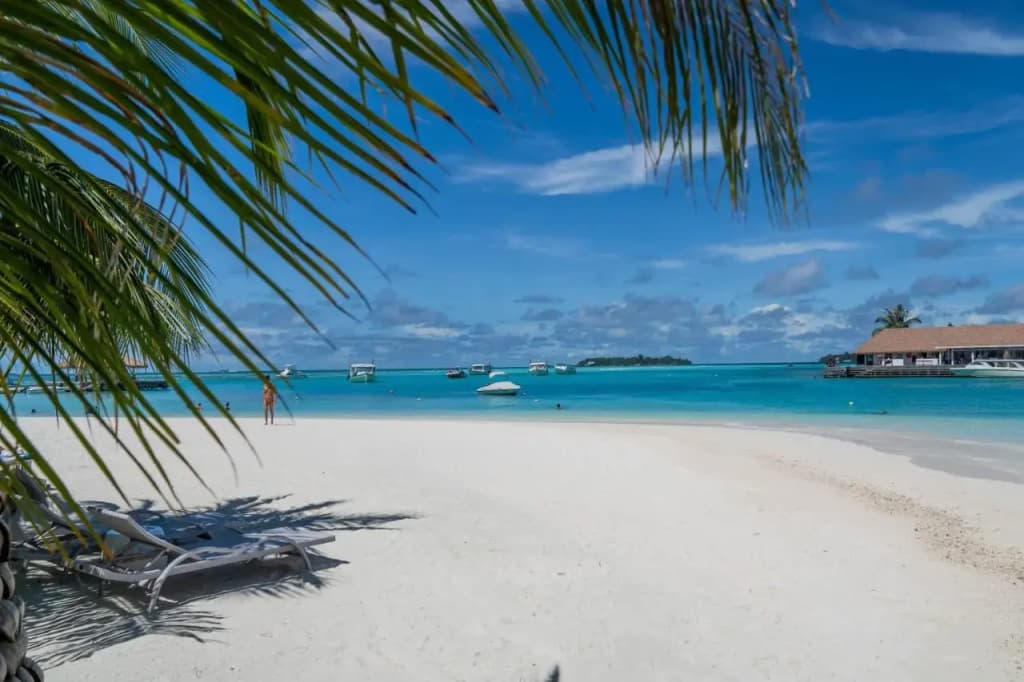 Holiday Inn Resort Kandooma Maldives by IHG - photo 24
