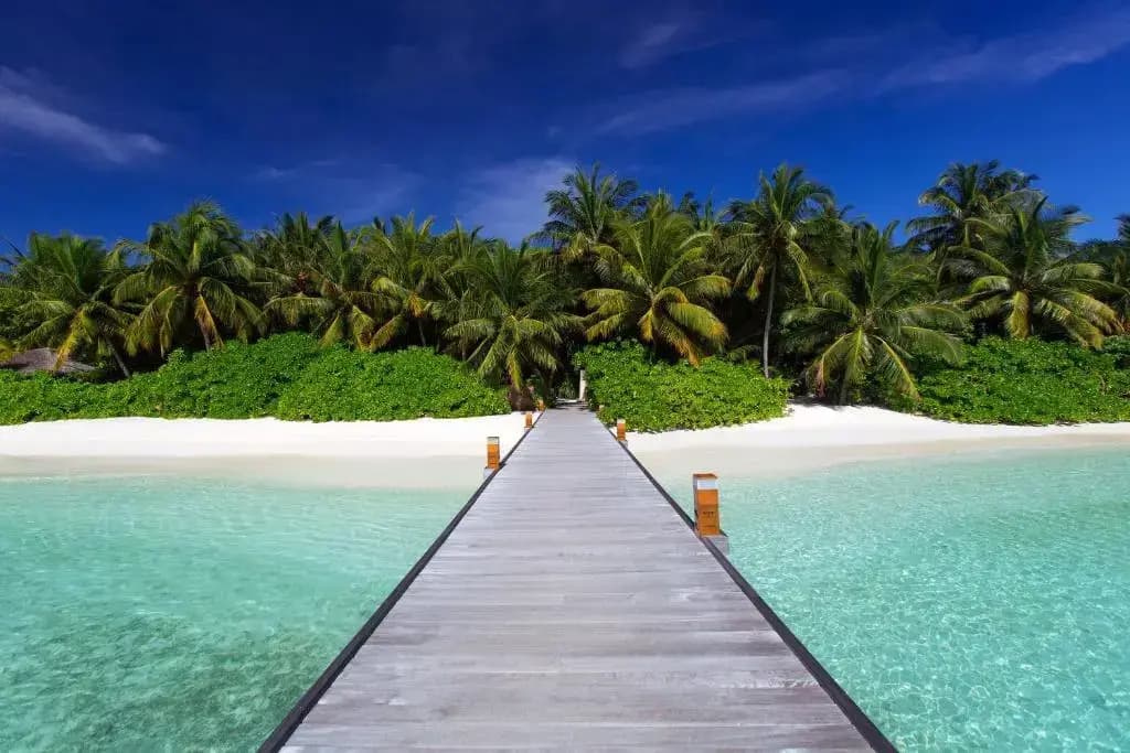 Baros Maldives - photo 21