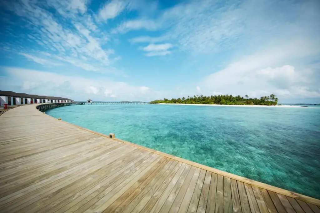 Robinson Noonu - photo 14