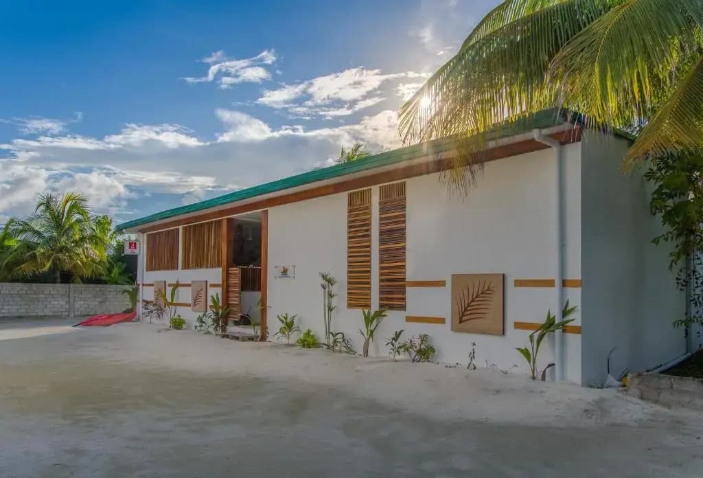 Dhiffushi White Sand Beach Hotel - photo 21