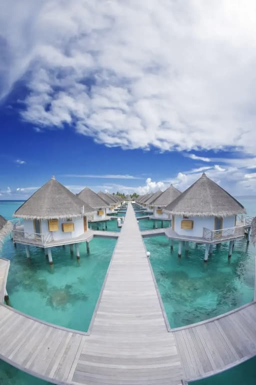 Angaga Island Resort & Spa - photo 15