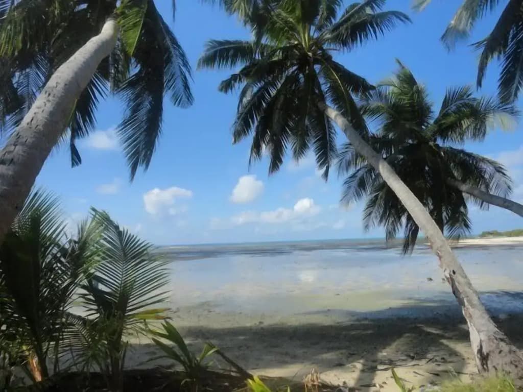 Equator Homestay - photo 17