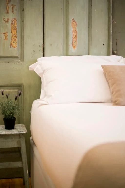262 Boutique Hotel - photo 2