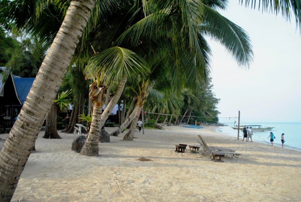 Coral View Island Resort - photo 12