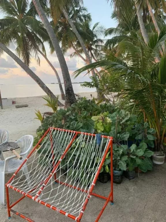La Isla Tropica Hotel - photo 18