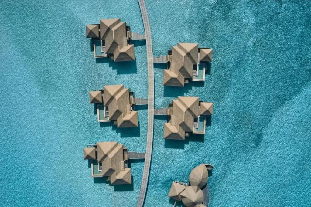 COMO Maalifushi - photo 16