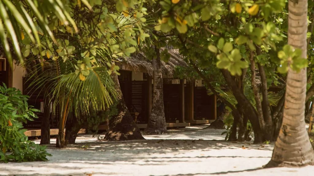Alimatha Nakai Resort - photo 18