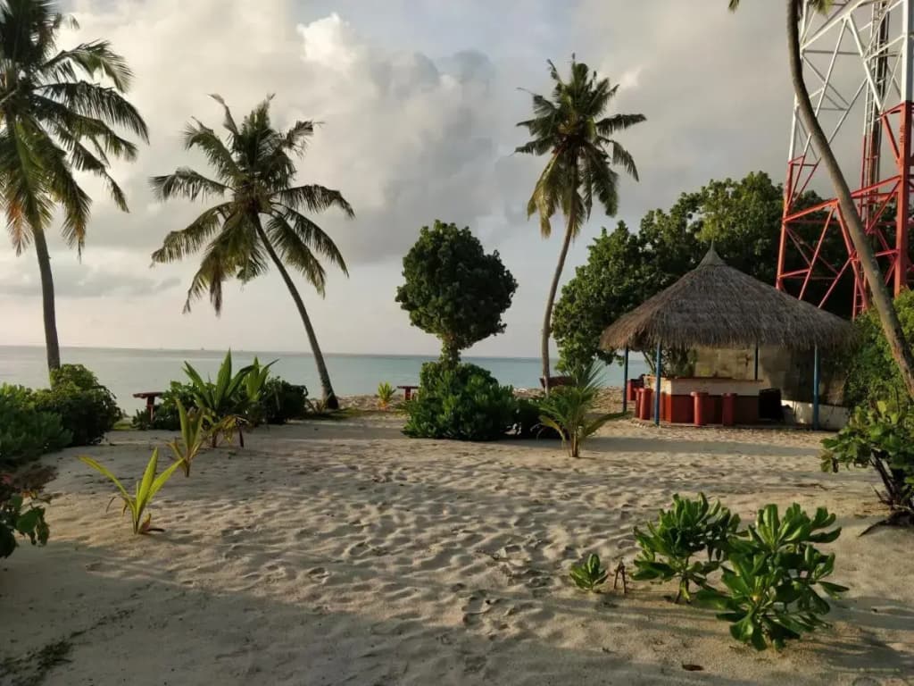 Alkina Lodge Hotel - photo 24