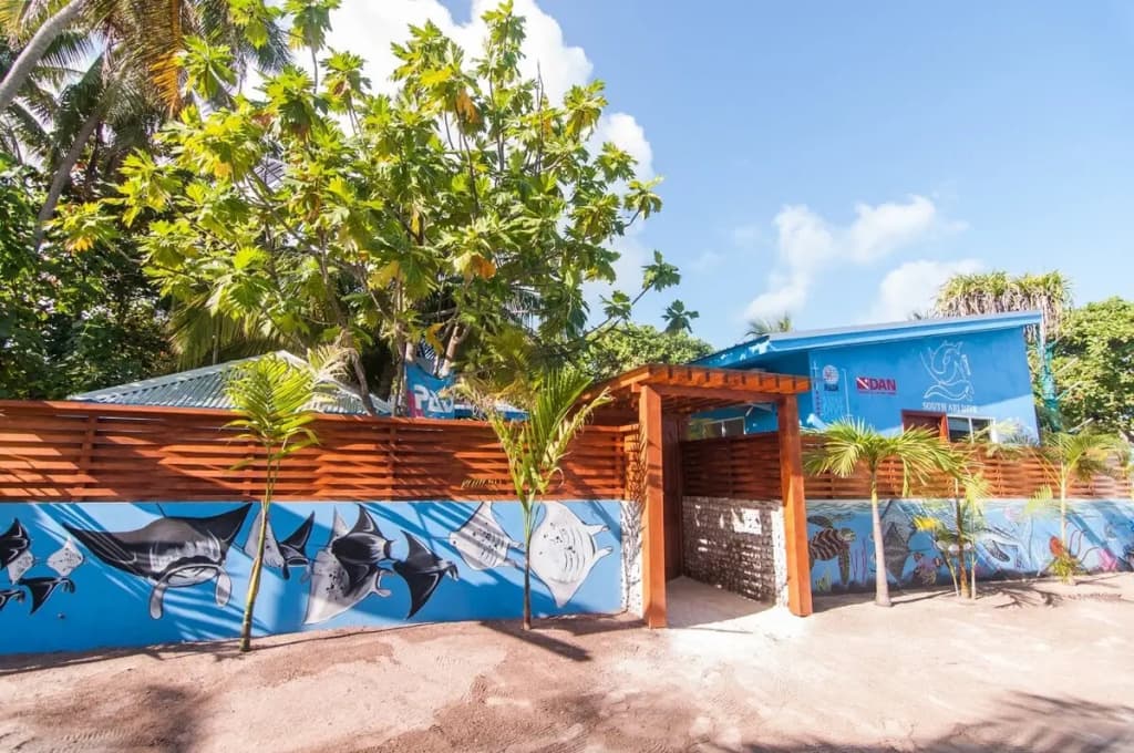 South Ari Dive Center - photo 22