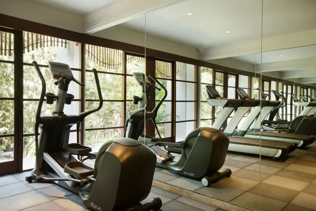 Alaya Resort Ubud Hotel - photo 21