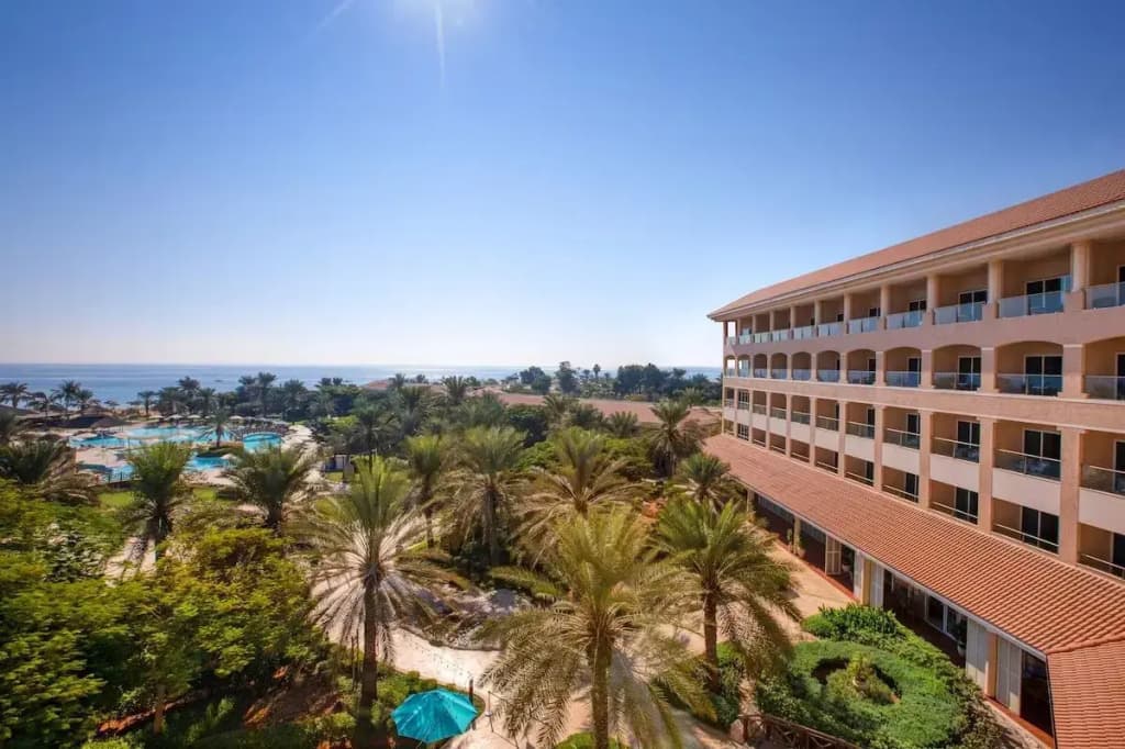 Fujairah Rotana Resort & Spa - photo 31