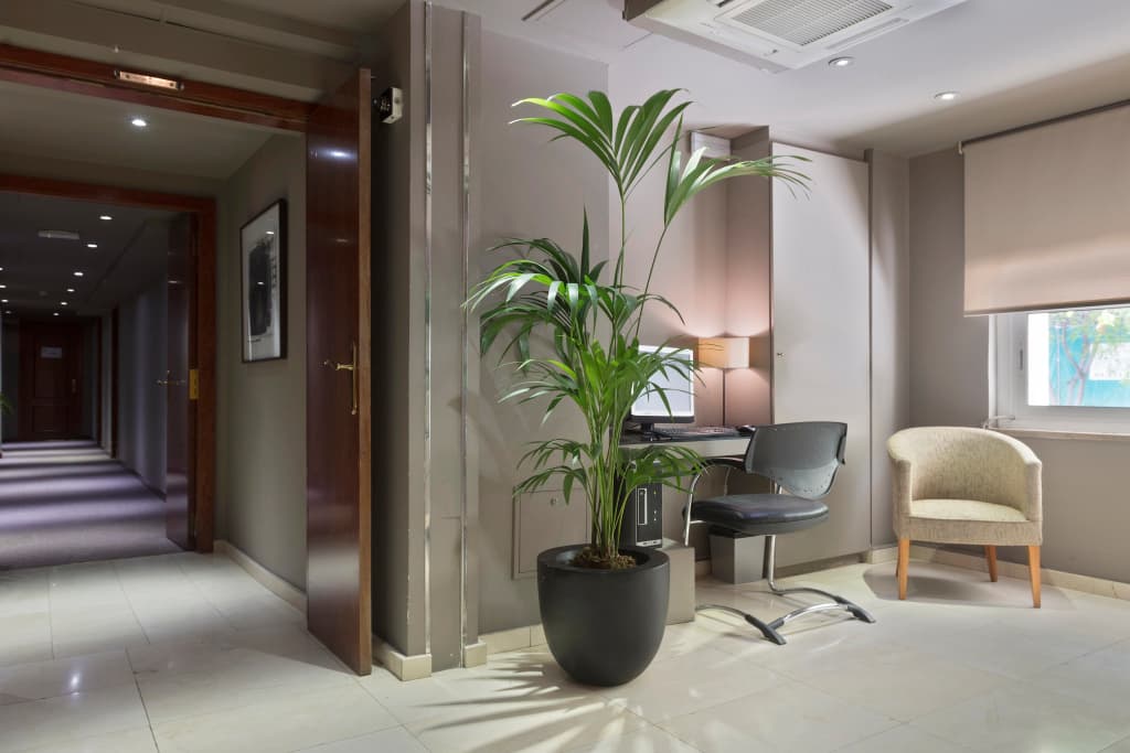 Hotel Acta Splendid - photo 17