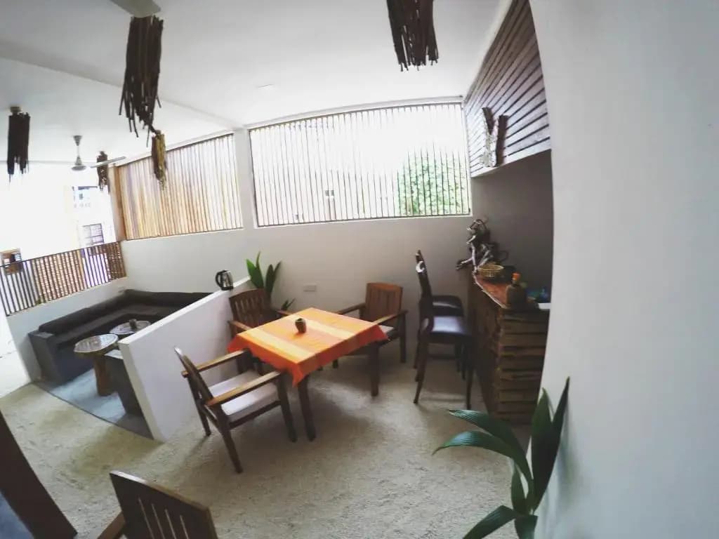Dhiffushi White Sand Beach Hotel - photo 15