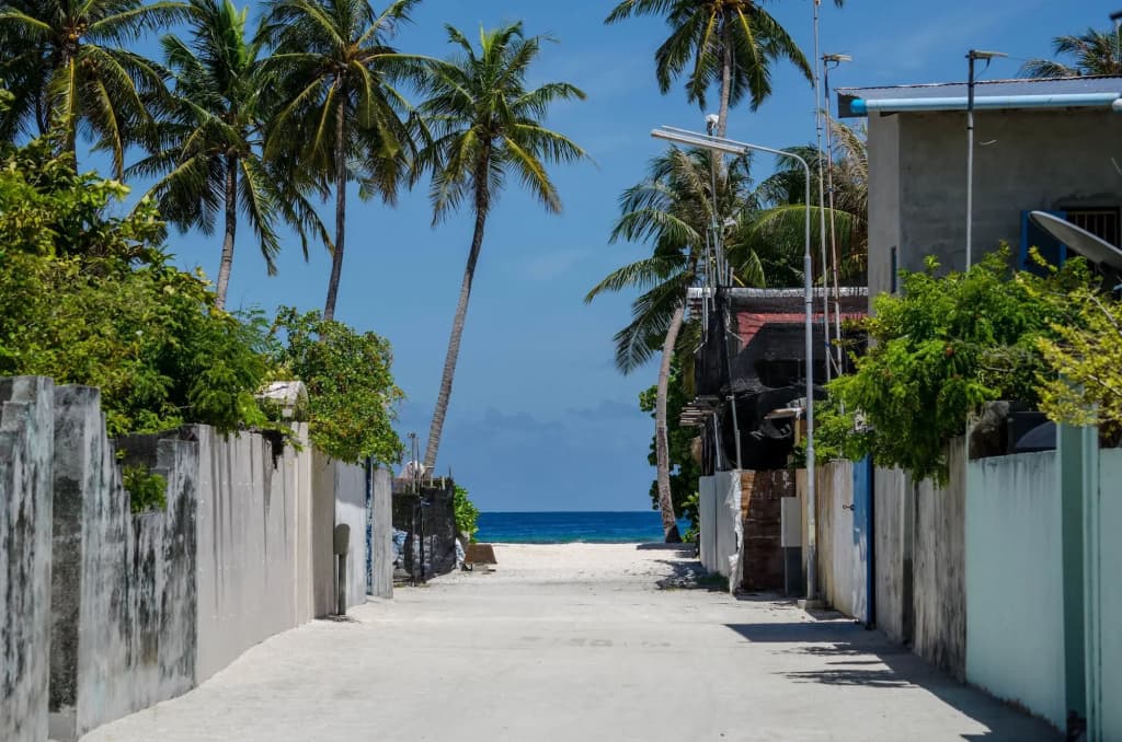Golhaa View Inn By TES - photo 18