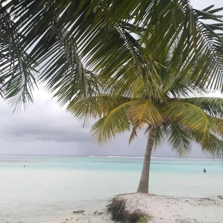 Bahari Lodge - photo 8