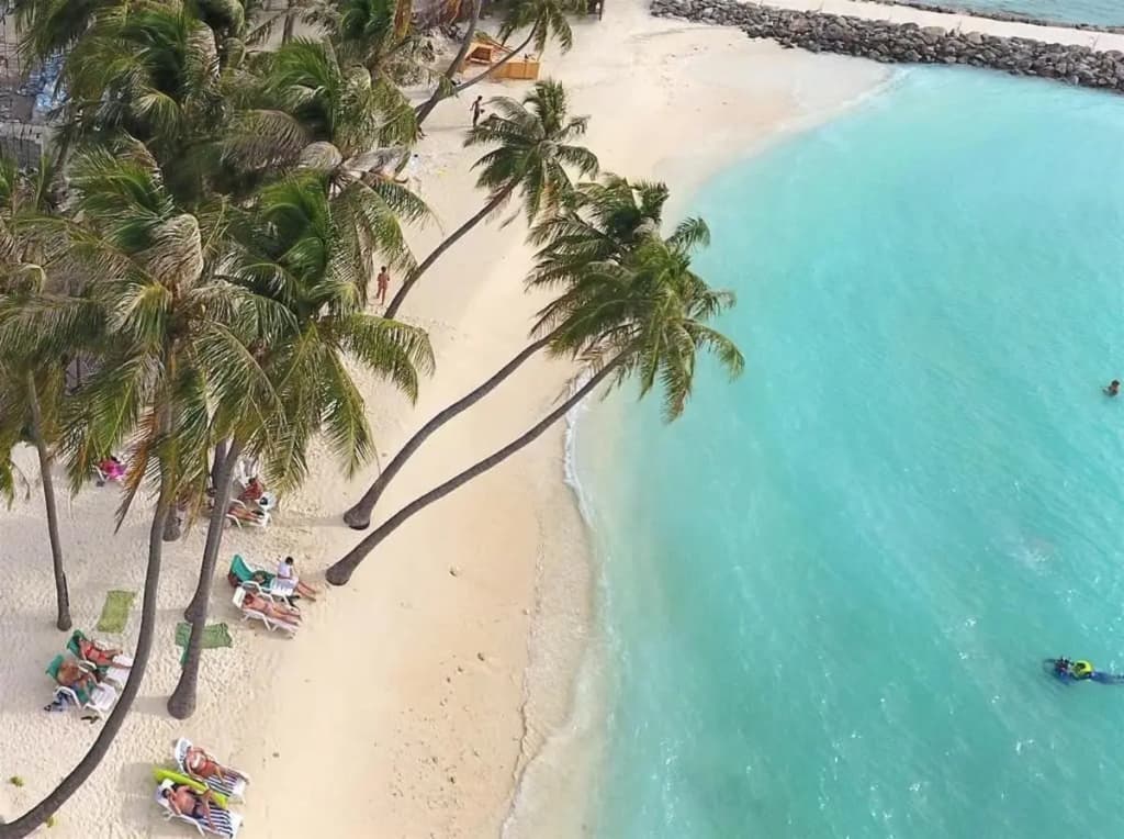 Kuredhi Beach Inn - photo 15