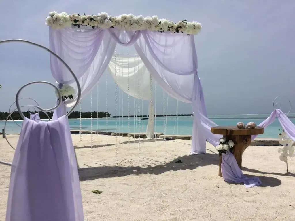 Dhiffushi White Sand Beach Hotel - photo 20