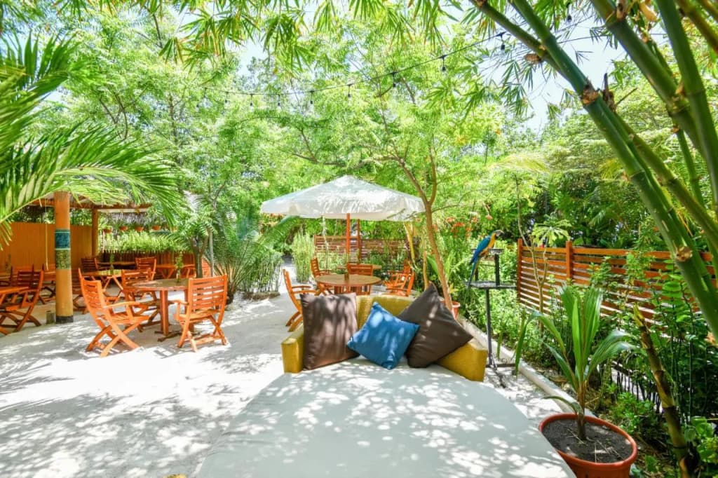 Ostrov Beach Villa - photo 21