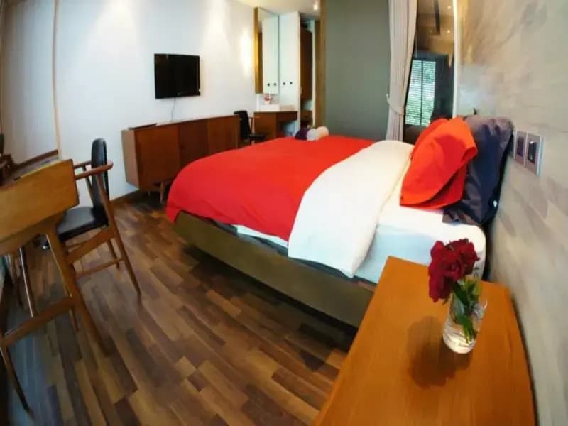 BazoomHaus - photo 5