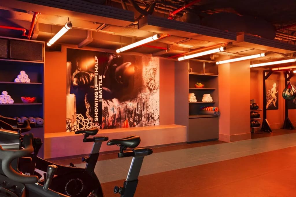 Pullman Paris Montparnasse Hotel - photo 21
