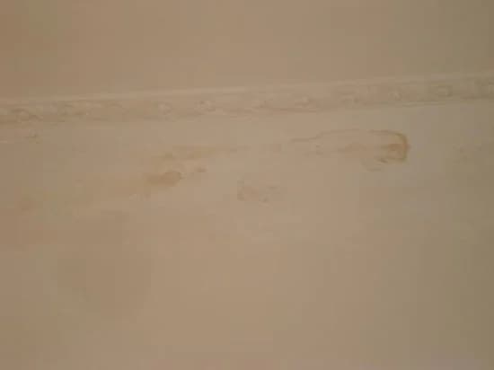 Ariana Bed and Breakfast - photo 14