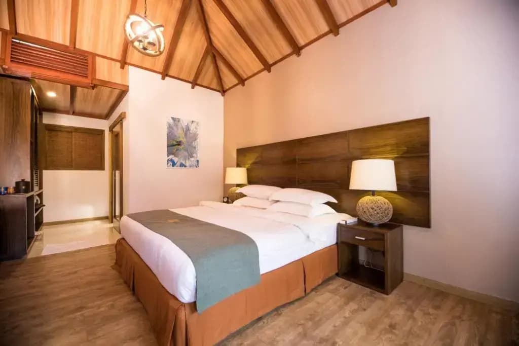 Plumeria Maldives Boutique Hotel - photo 4