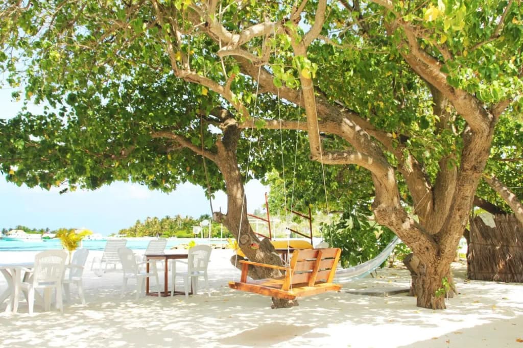 Seginy Seaview Hotel - photo 19