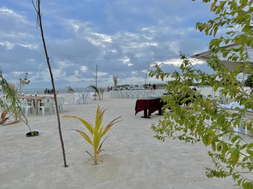 La Isla Tropica Hotel - photo 15