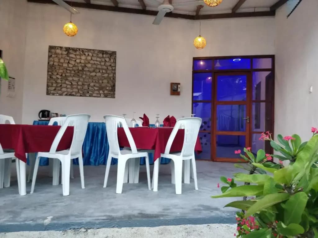Alkina Lodge Hotel - photo 19