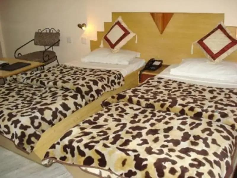 Hotel Nice Palace - photo 8