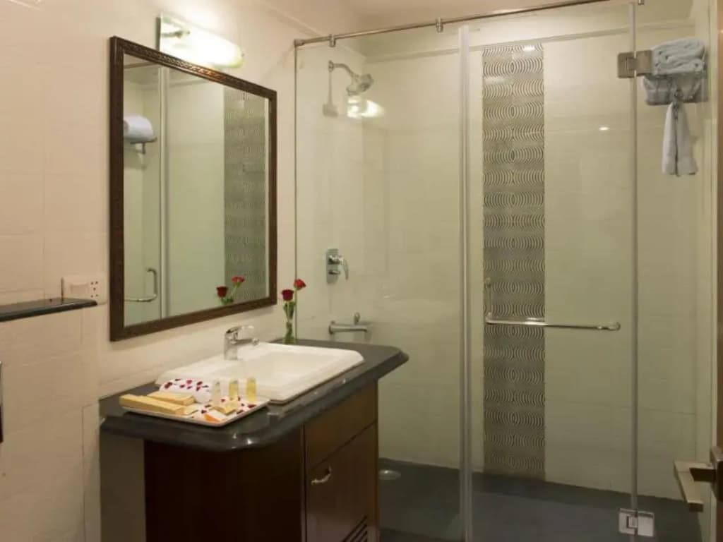 Anila Hotel - photo 8