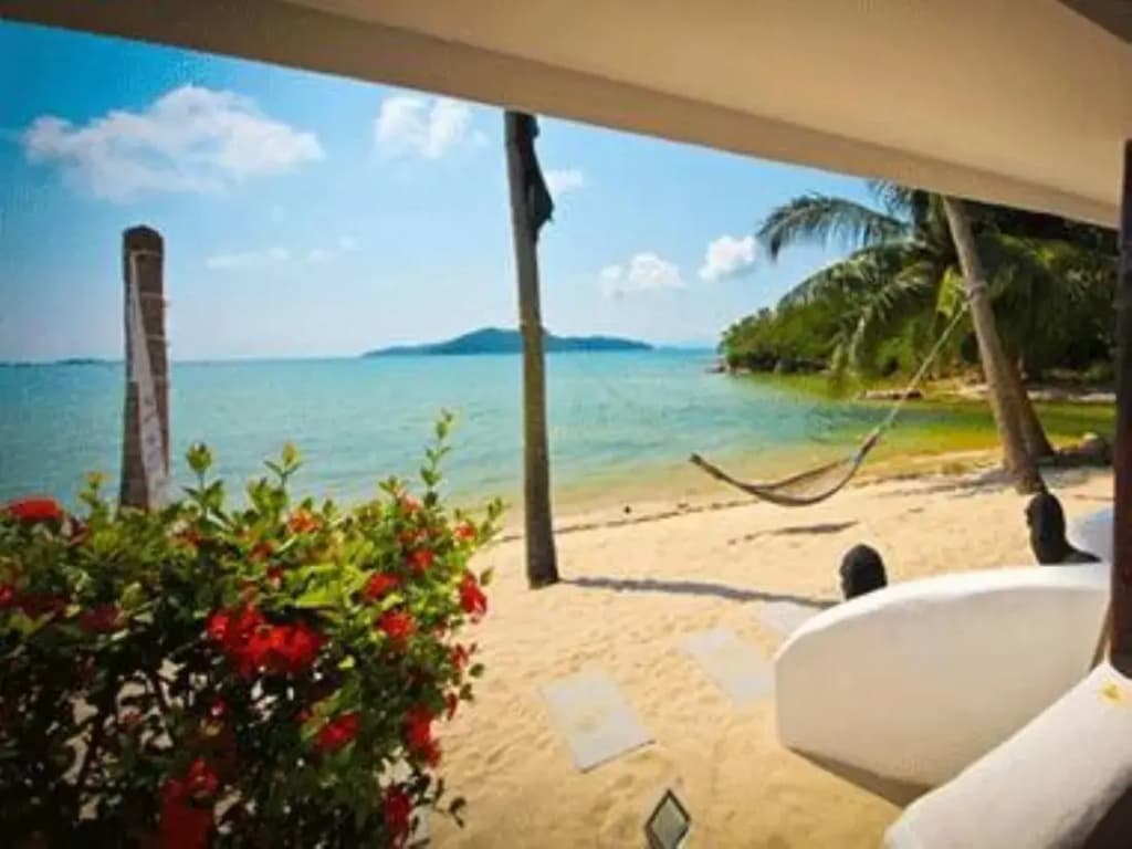 Las Palmas Boutique Hotel - photo 4